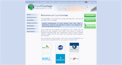 Desktop Screenshot of expat-courtage.com